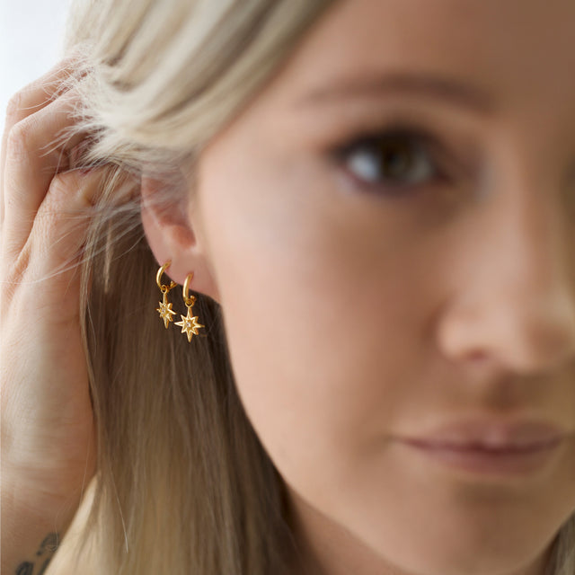 Earrings | Northern Star Hoops