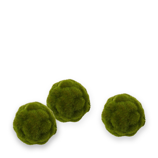 Decorative Moss Ball