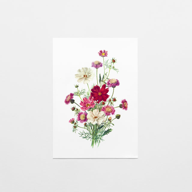 Gift Card | Wildflower Bunch