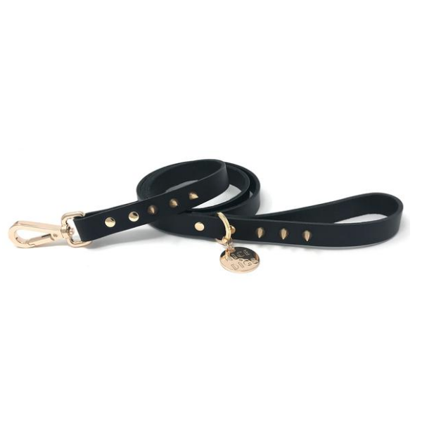 Black Leather Dog Lead with Gold Spikes