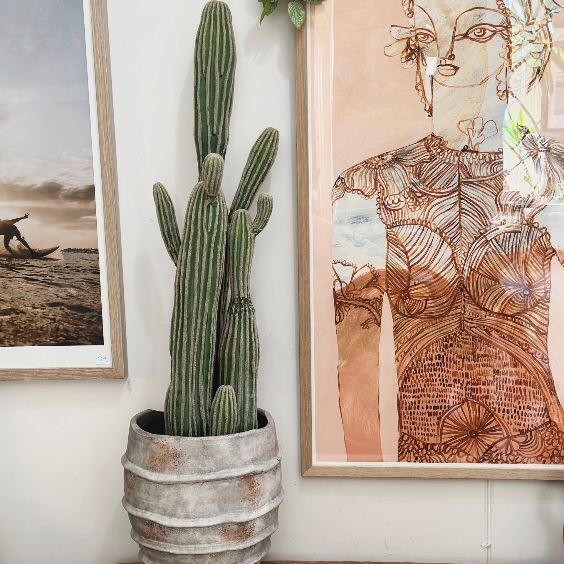 Saguaro Cactus
