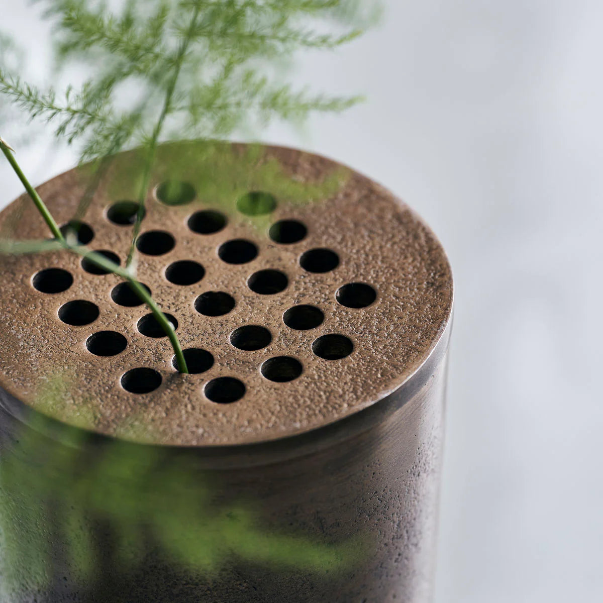 Cylindrical bronze metal planter with perforated top on a light background