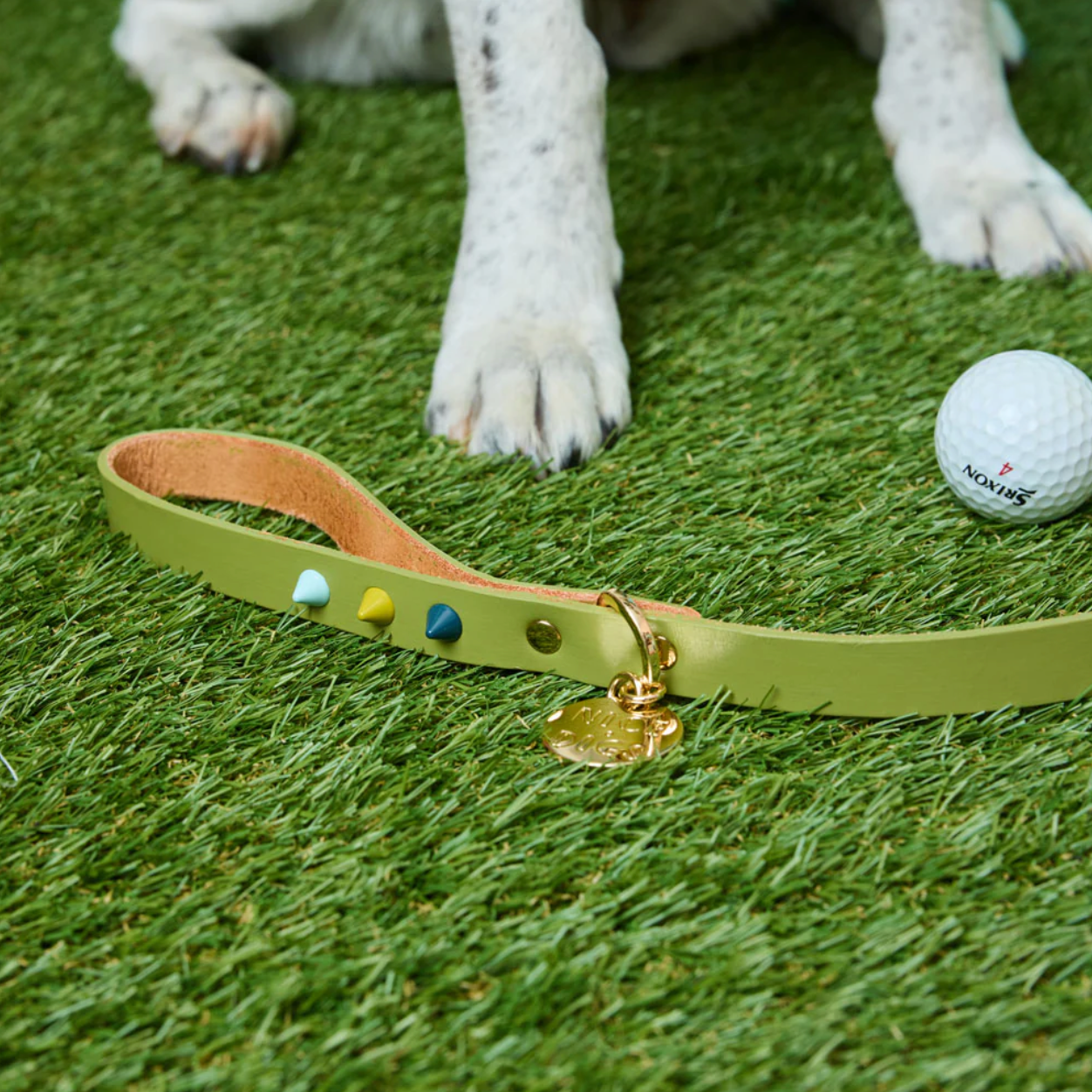 Leather Lead | Mini Golf