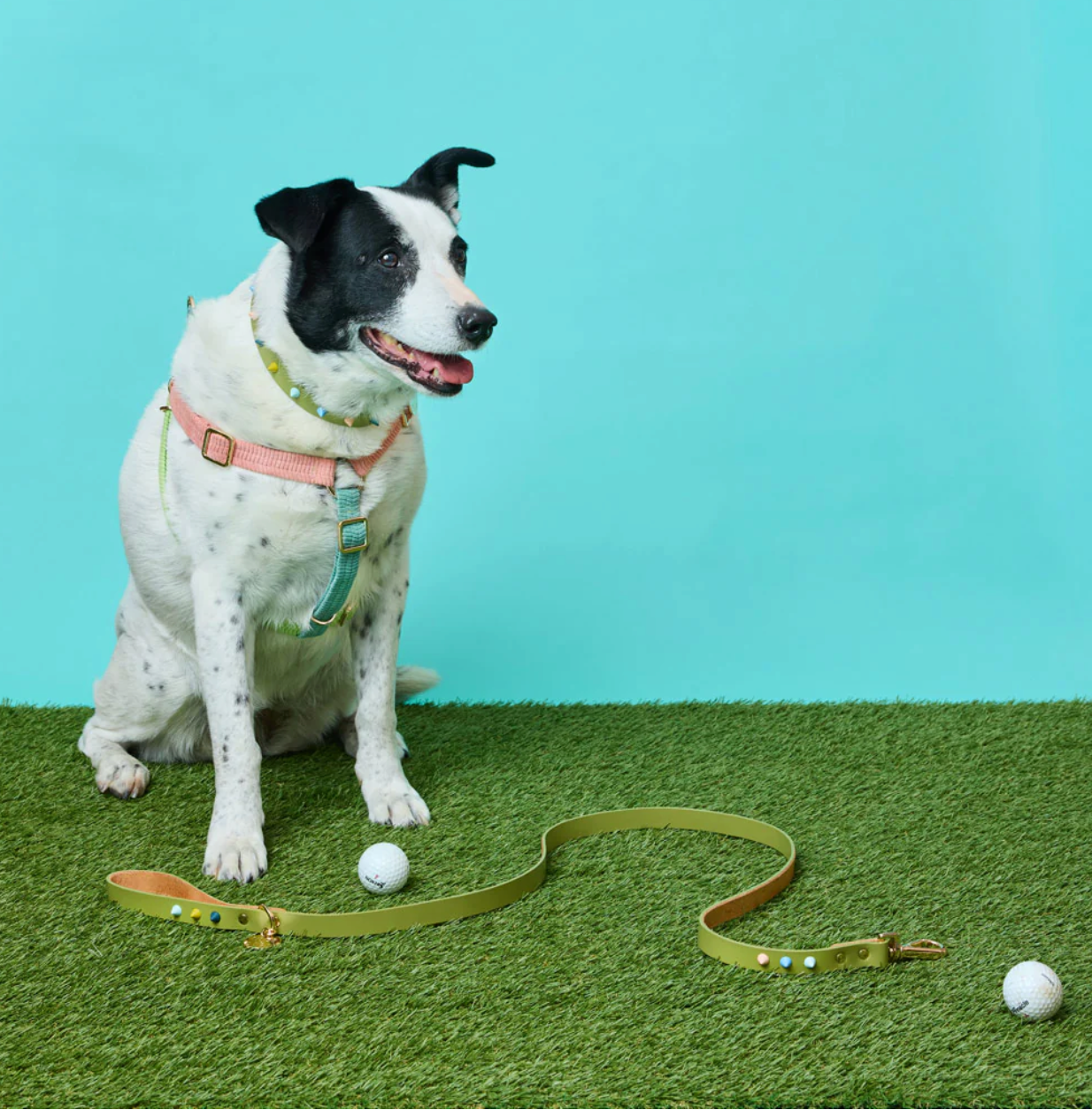 Leather Lead | Mini Golf