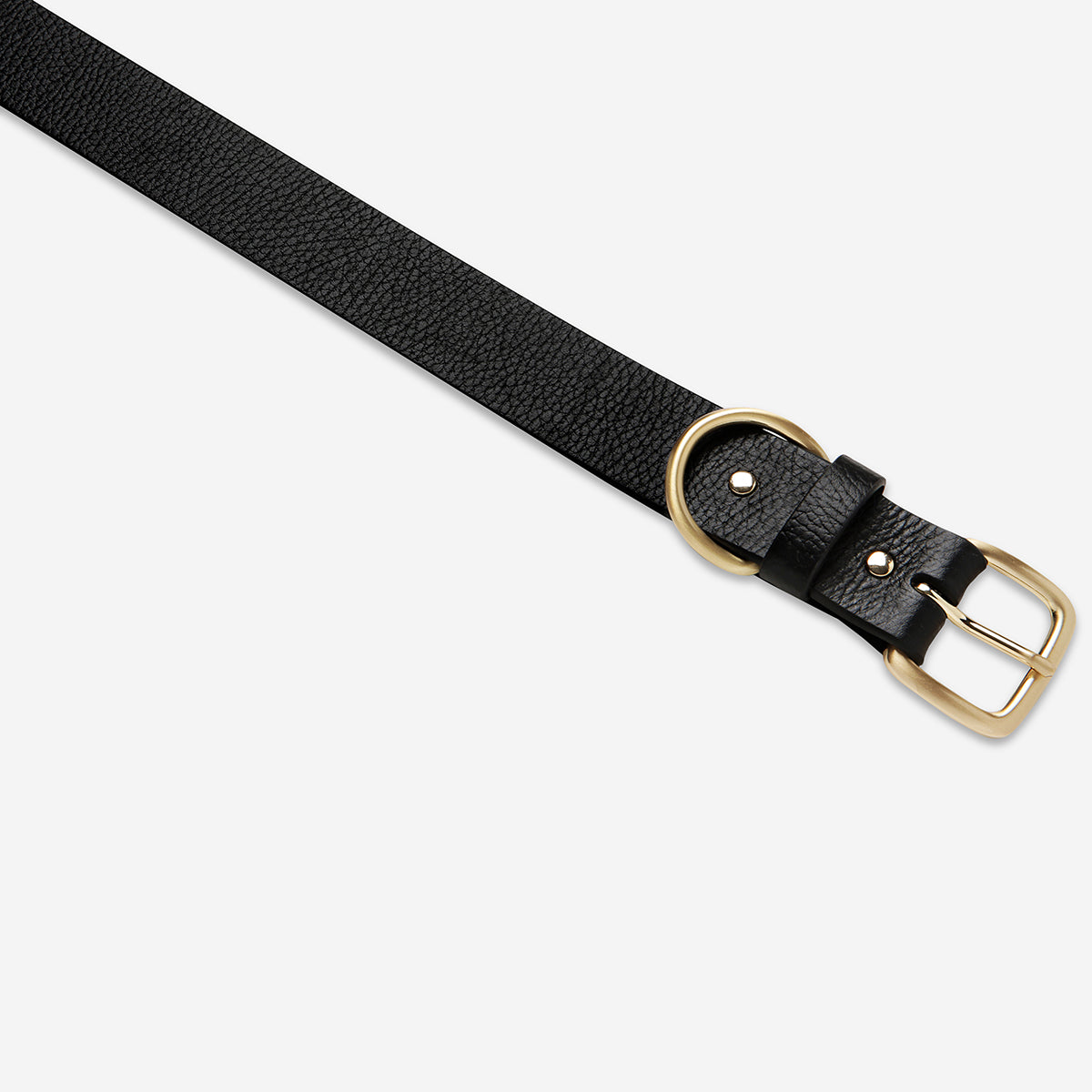 Status Anxiety | Disarm Belt BLACK/GOLD