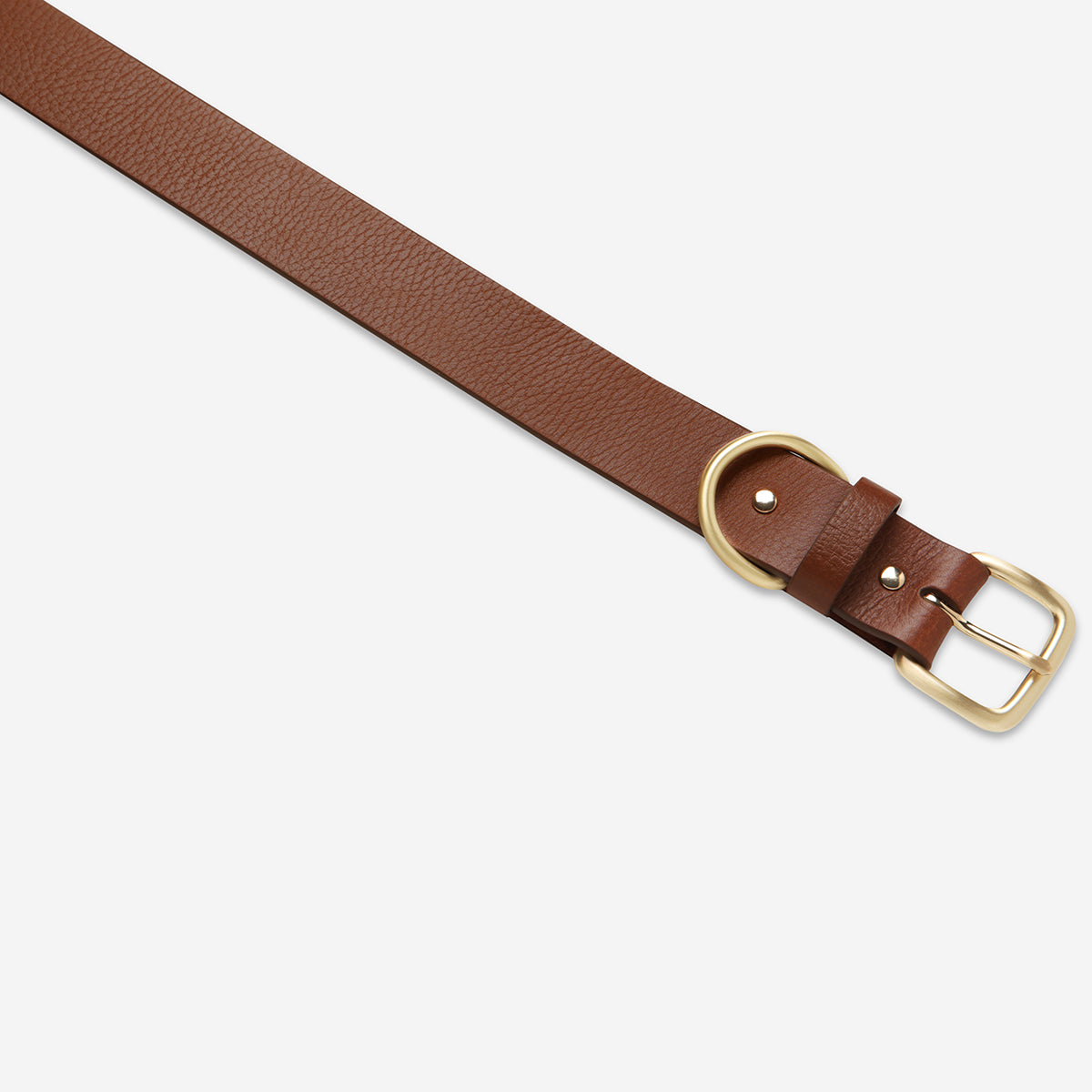 Status Anxiety | Disarm Belt TAN/GOLD