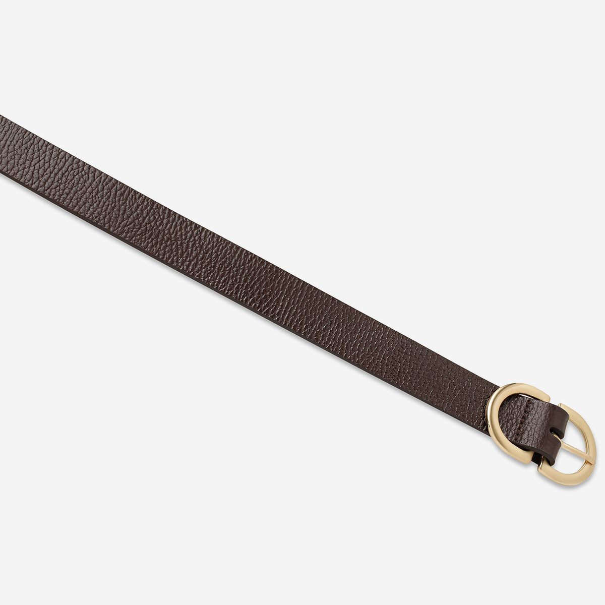 Status Anxiety | In Reverse Belt CHOC/GOLD