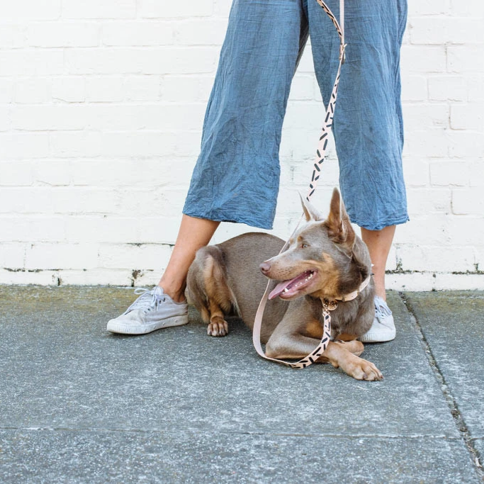 Tiggy Leather Leash |  Black