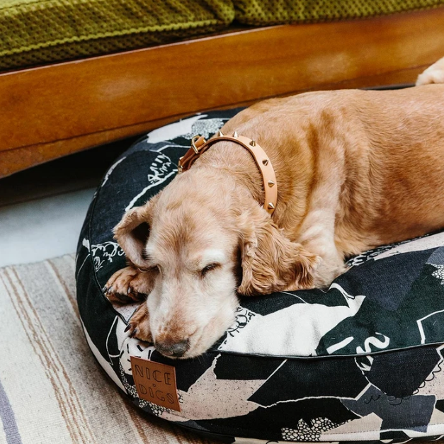 Spike Leather Collar | Gold