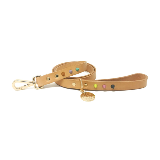 Spike Leather Leash | Pastel Party