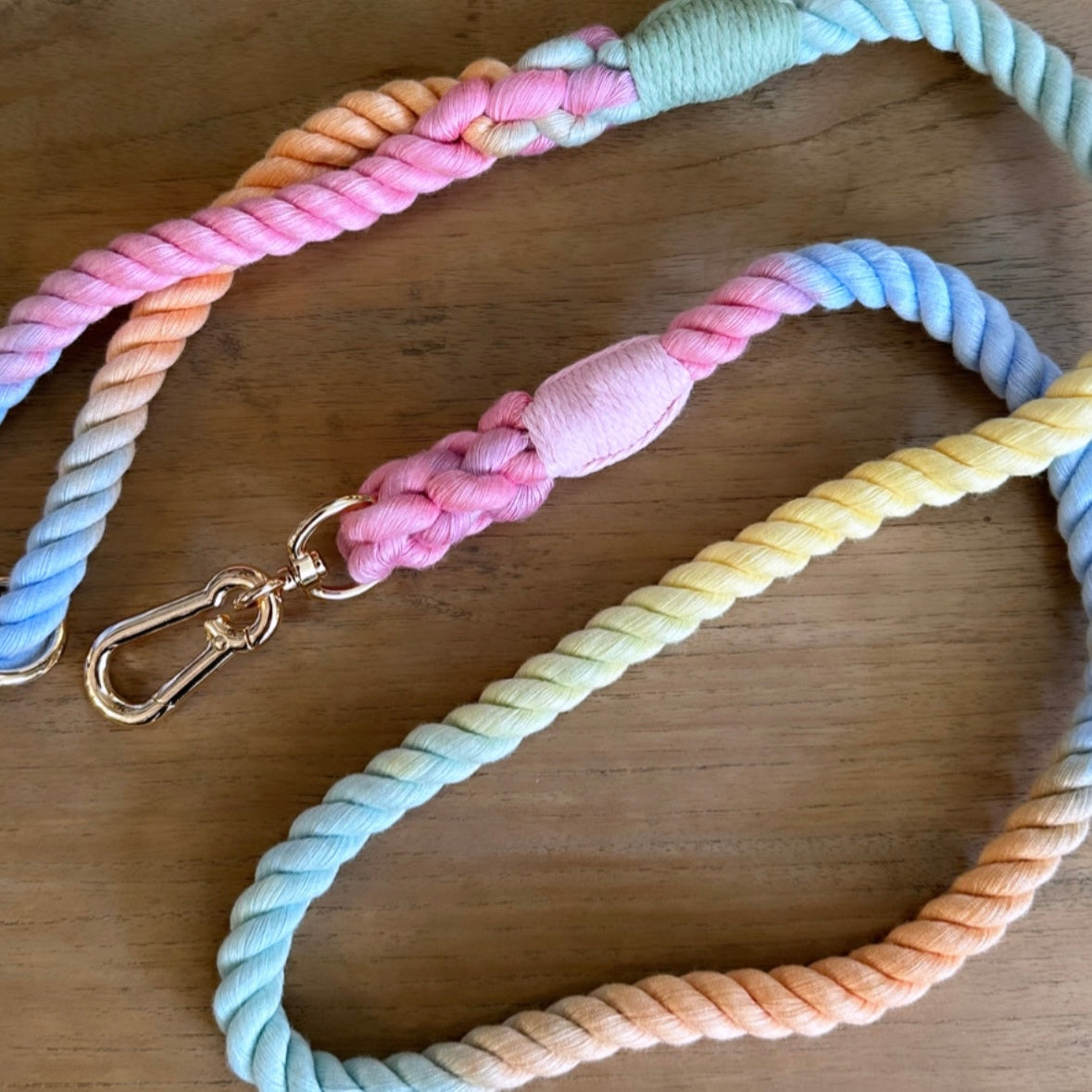 Rope Lead | Rainbow